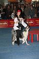 D-M4326-IMG_3795-5