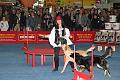 D-M4332-IMG_3801-5