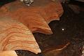 D-M4857-M4526-IMG_3839-5