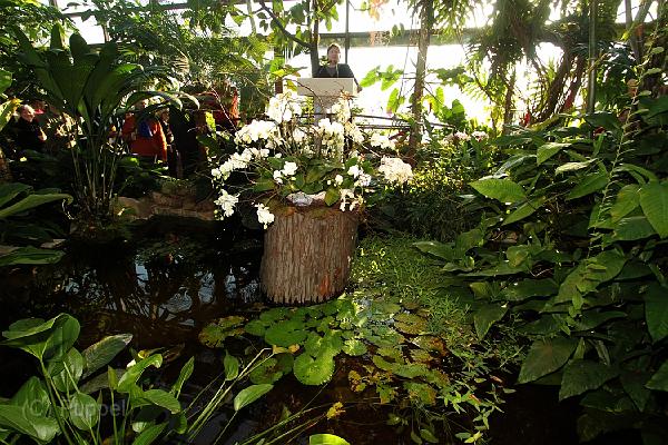 IMG_6351a.jpg
