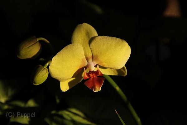 IMG_6473.JPG