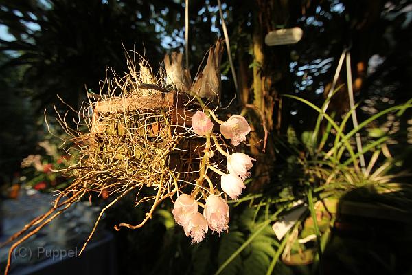 IMG_6519.JPG