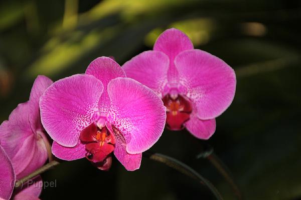 IMG_6616.JPG