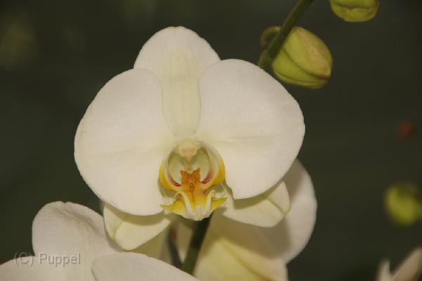 IMG_6635.JPG