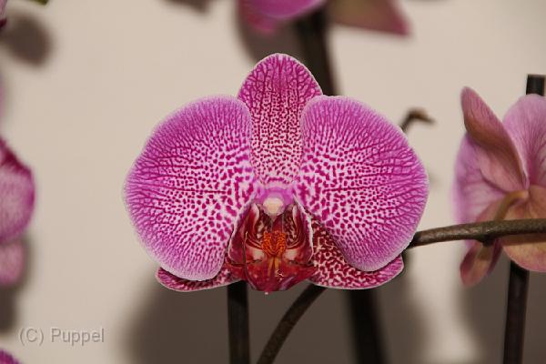 IMG_6638.JPG