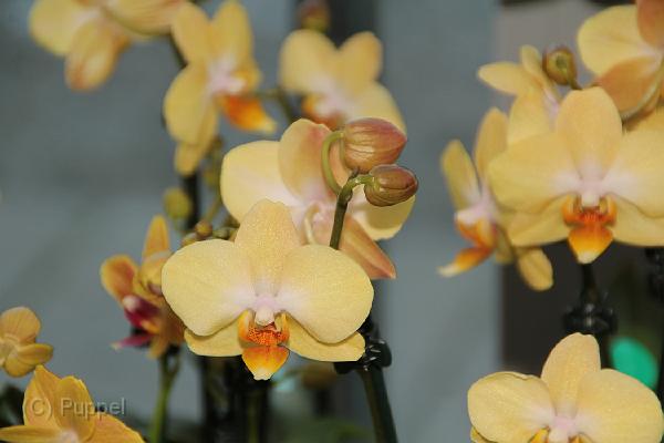 IMG_6643.JPG