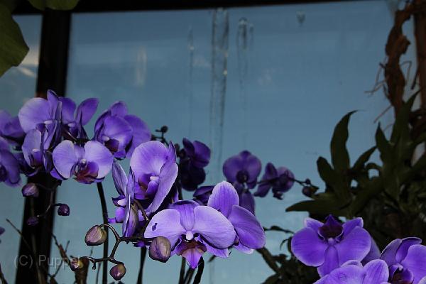 IMG_6687.JPG