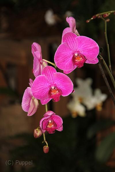 IMG_6691.JPG