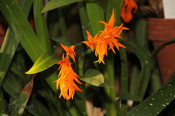 IMG_6724_6754.JPG