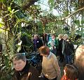IMG_6374a