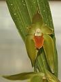 IMG_6545a