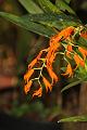 IMG_6724_6756