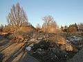 IMG_6798a