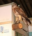 IMG_7128a