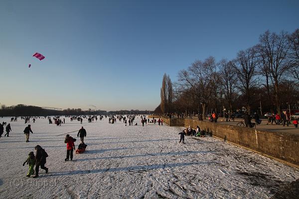 IMG09126-5.JPG