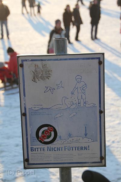 IMG09177-5.JPG