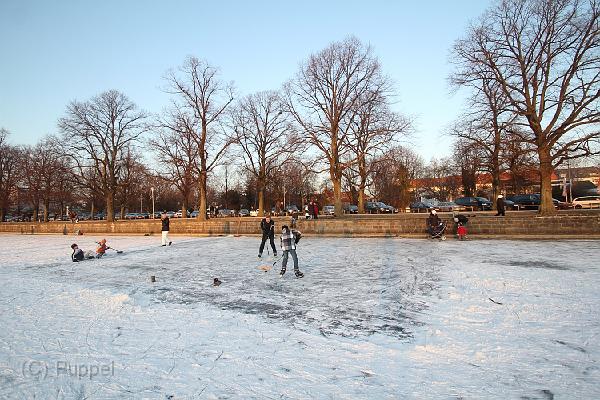 IMG09356-5.JPG