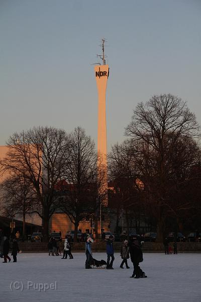 IMG09377-5.JPG