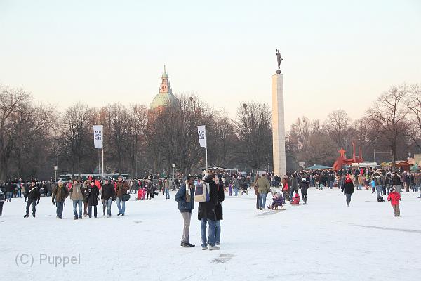 IMG09464-5.JPG