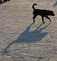 IMG09200-5a