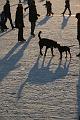 IMG09203-5