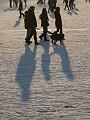 IMG09220-5a