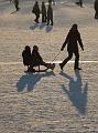 IMG09222-5a