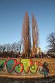 IMG09339-5