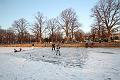 IMG09356-5
