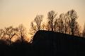 IMG09395-5