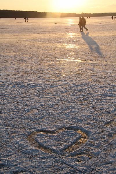 IMG_0289.JPG