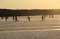 IMG_0267