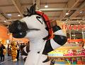 IMG_2263a