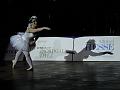 IMG_5010a