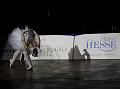 IMG_5015a