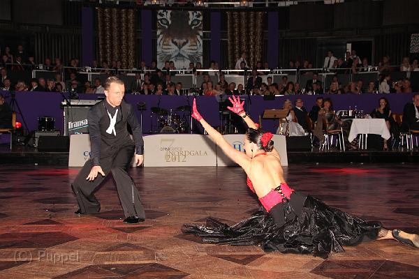 IMG_3313.jpg