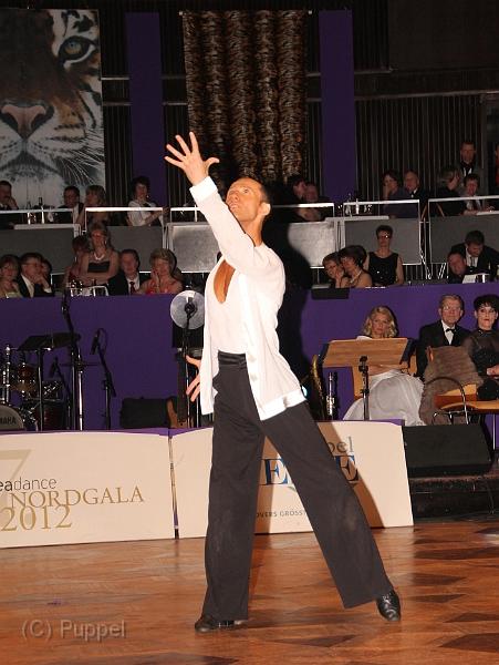 IMG_5428a.jpg
