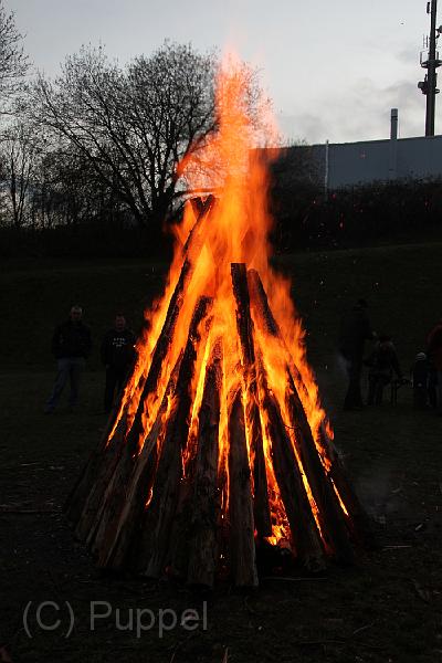 IMG_7117.JPG