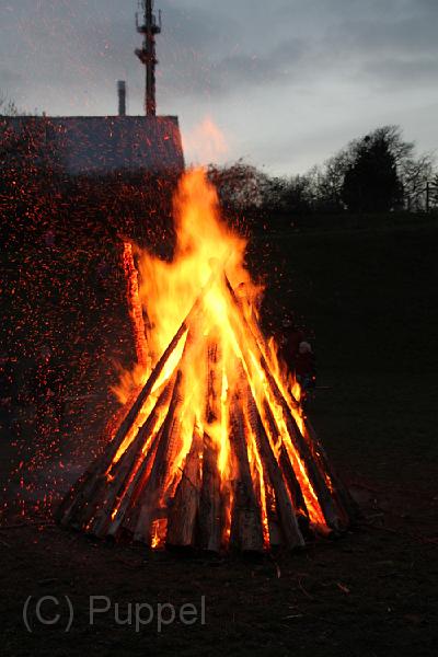 IMG_7187.JPG