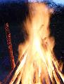 IMG_7194a