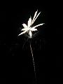 IMG_7776a