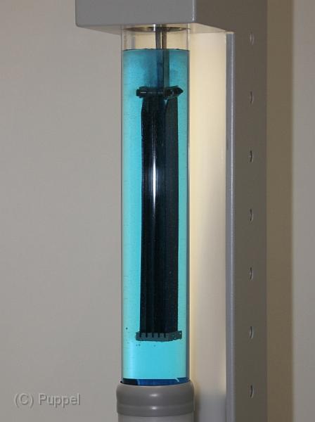 IMG10634a.jpg