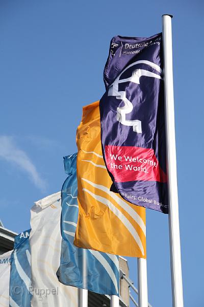 IMG10780.JPG