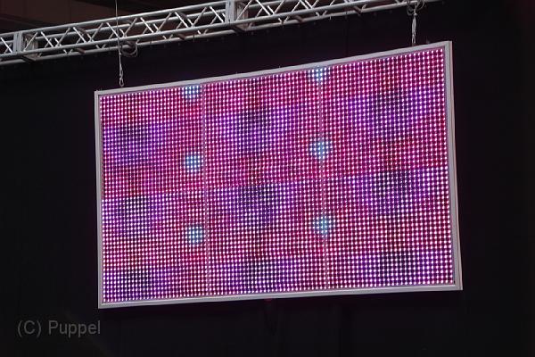 IMG_1073.JPG