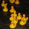 IMG_0995a