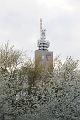 IMG_1107