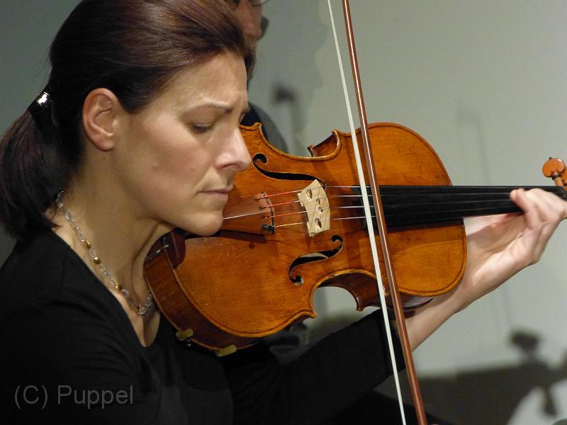 D-Q2794-P1650117-1.JPG
