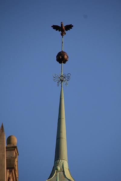 D-R2628-IMG_9264-5.JPG