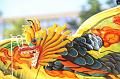 D-R1996-IMG_8632-5