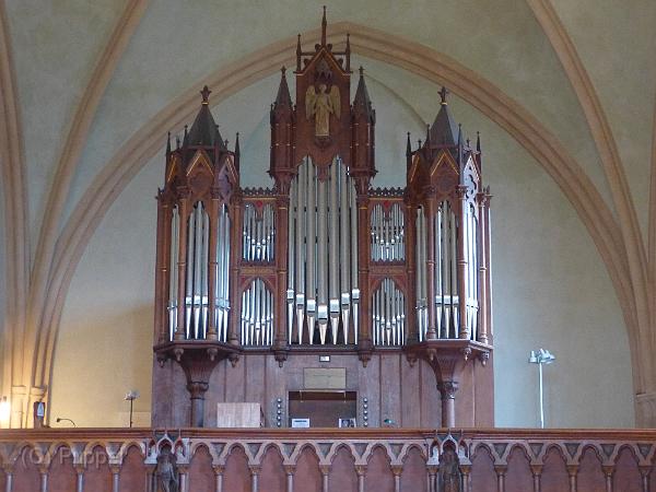 D-S3239-P1720427-1.JPG